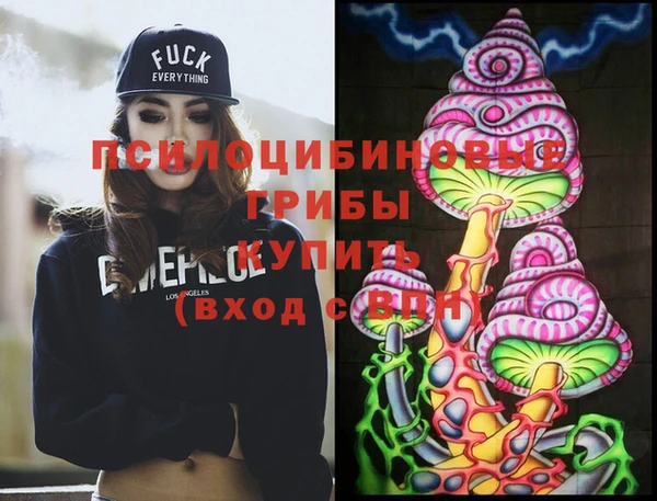 индика Баксан