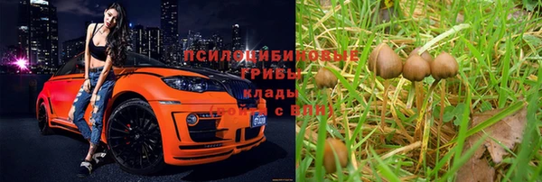 ECSTASY Беломорск