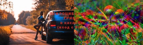 меф Белоозёрский