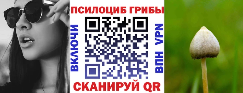 мориарти какой сайт omg рабочий сайт Шагонар Галлюциногенные грибы Psilocybe